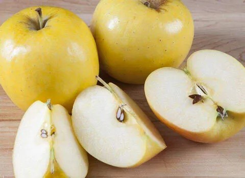تصویر 1 از خرید و فروش سیب زرد درجه یک با شرایط فوق العاده